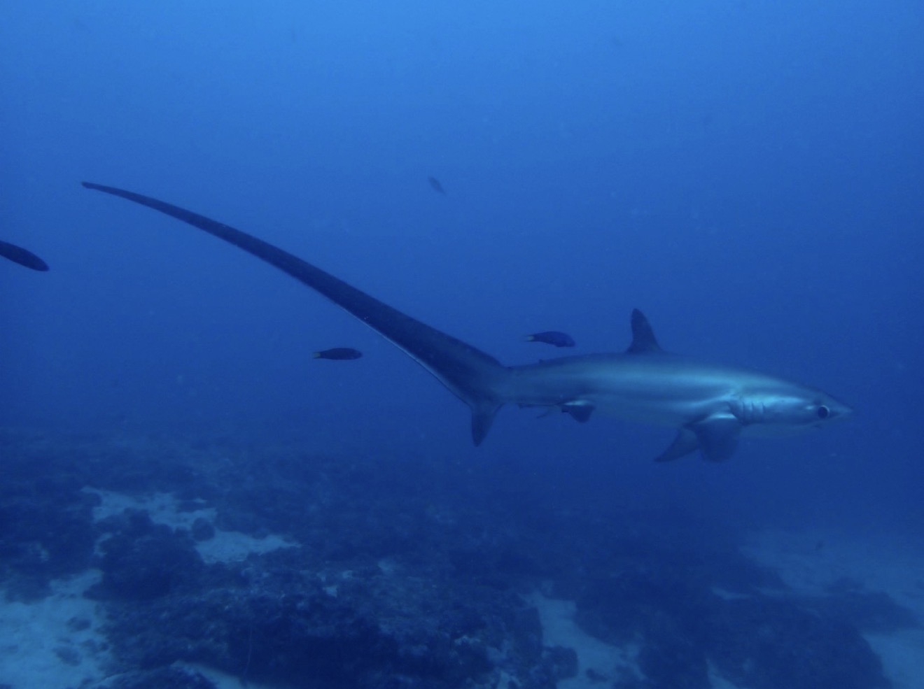 防寒して来てくださいね！