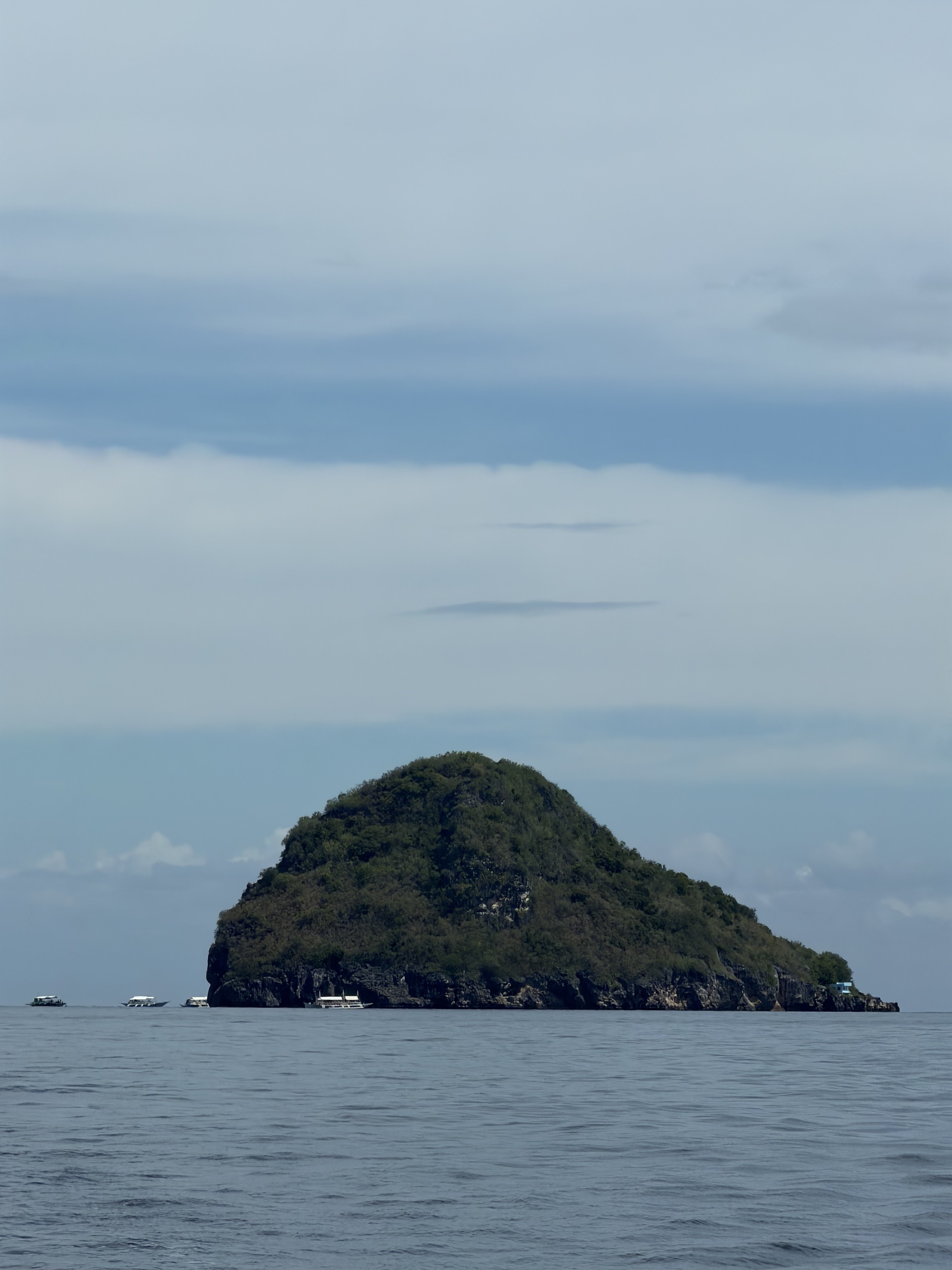 Gato Island