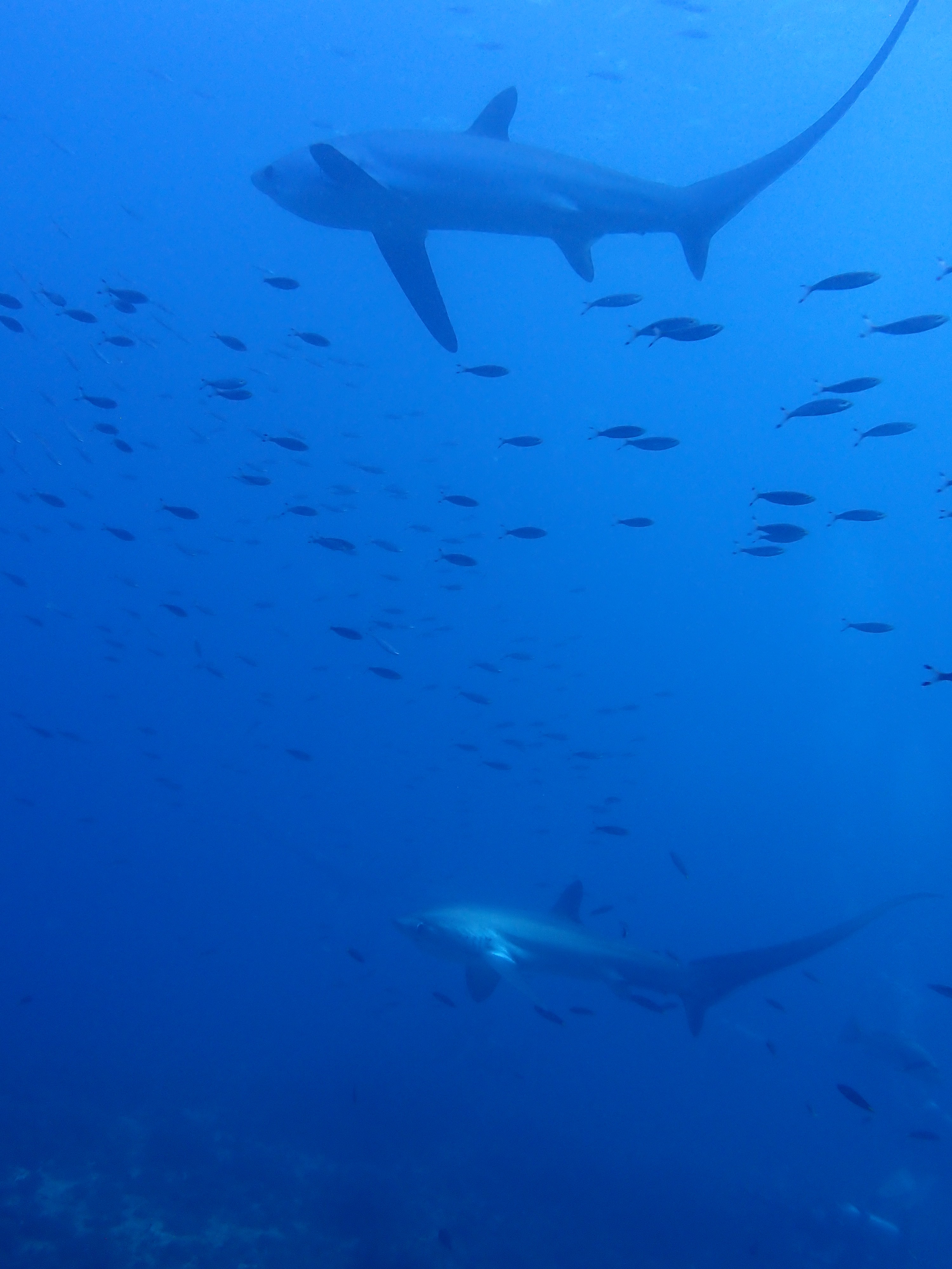 ご迷惑お掛けしてすみませんでした！